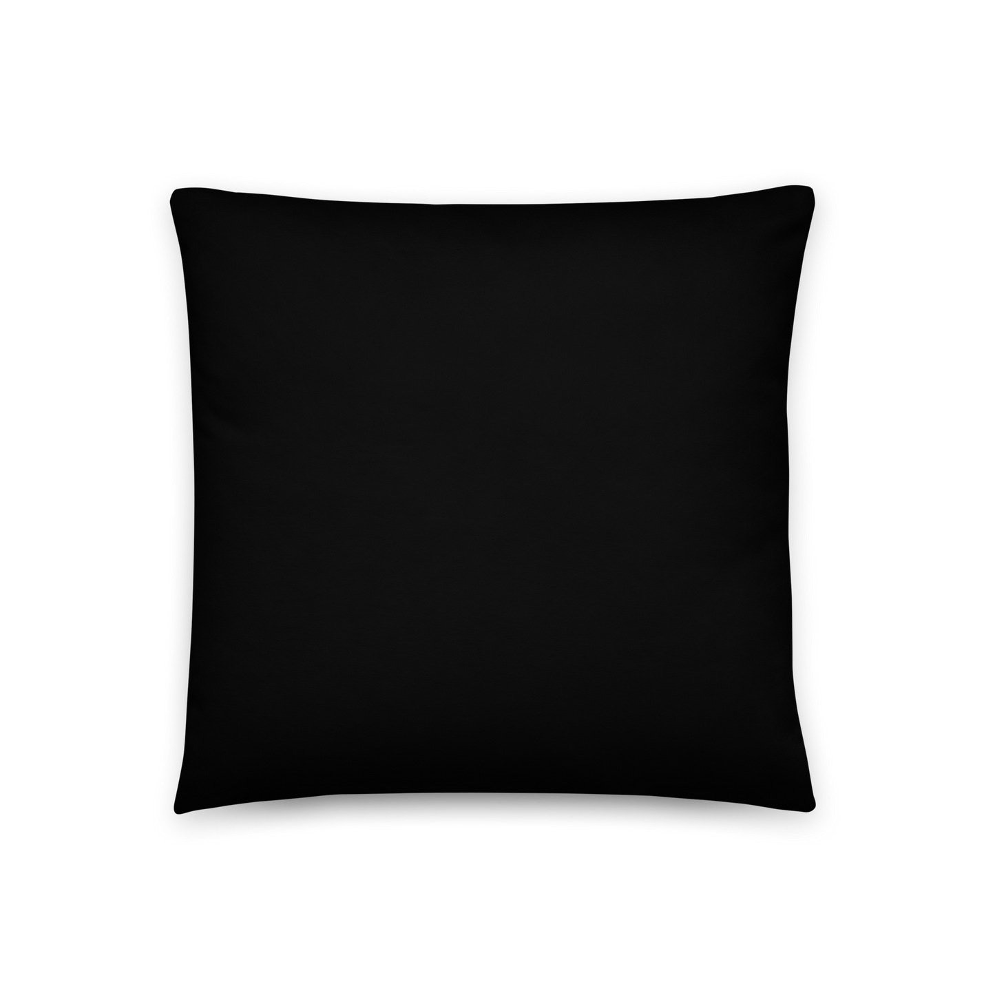 Homestuff: "Plap" Pillow