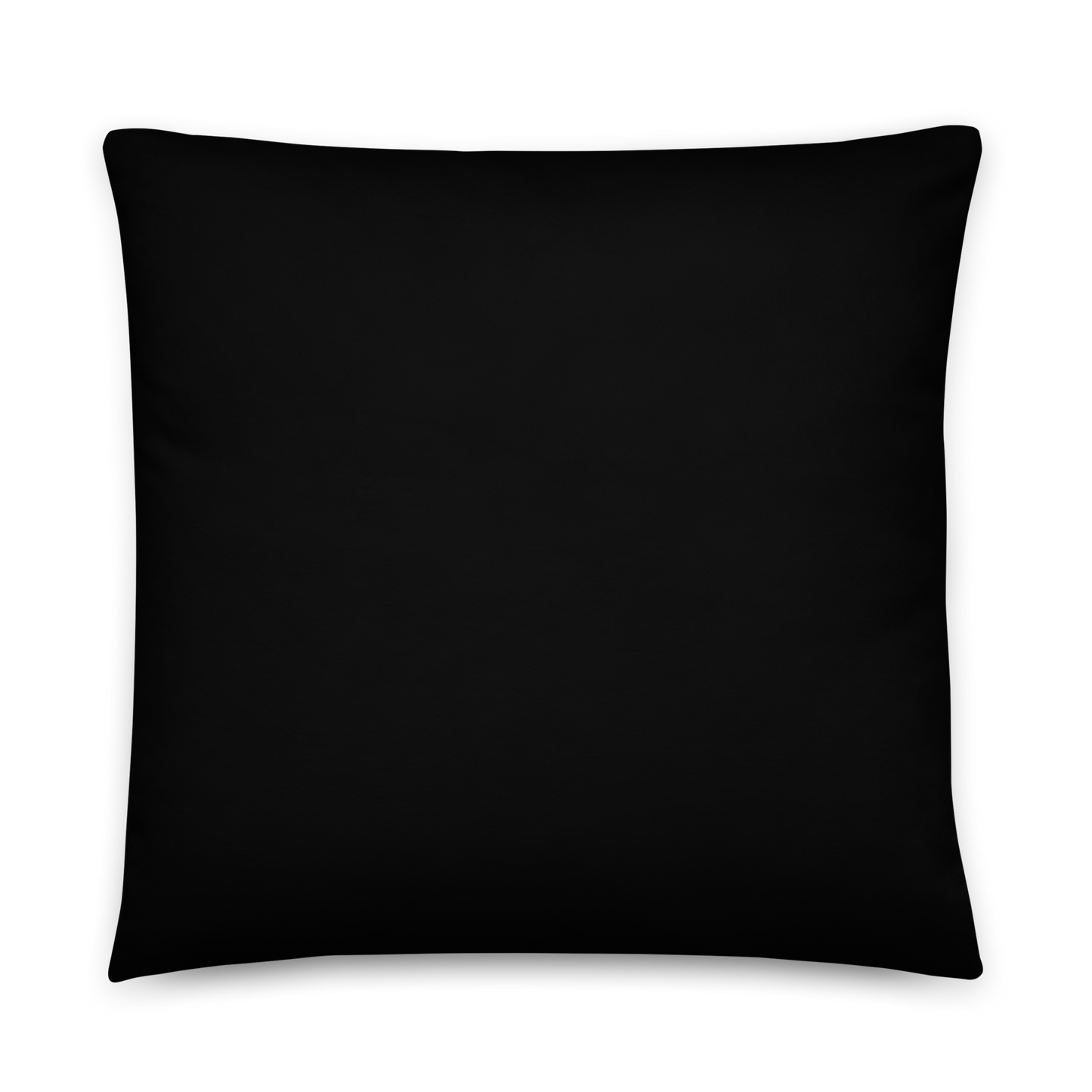 Homestuff: "Plap" Pillow